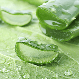 Alchemy Aloe: Hydrating Water-Based Personal Lubricant – close-up of leaf with water drop
