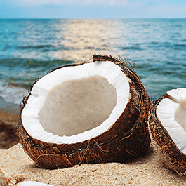 Coconut on a beach